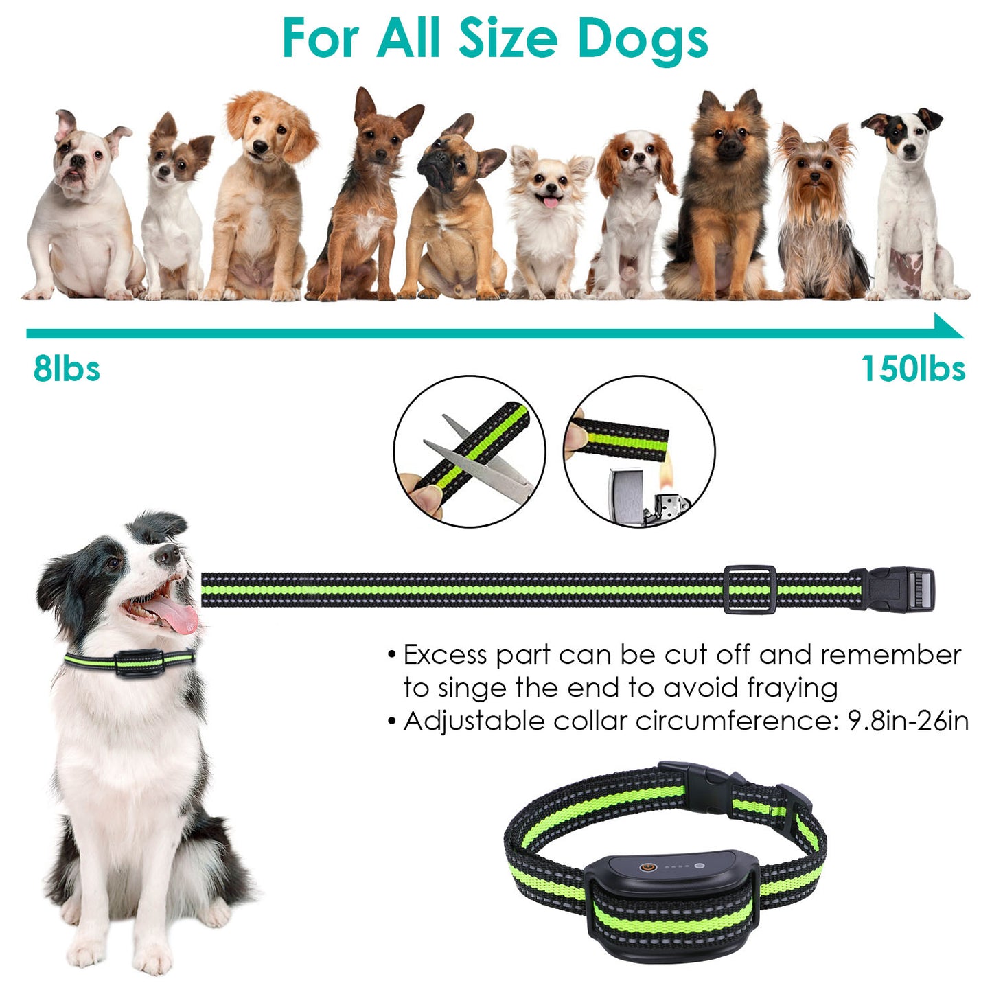 Dog Training Collar with Remote – 820ft Range, 3 Modes