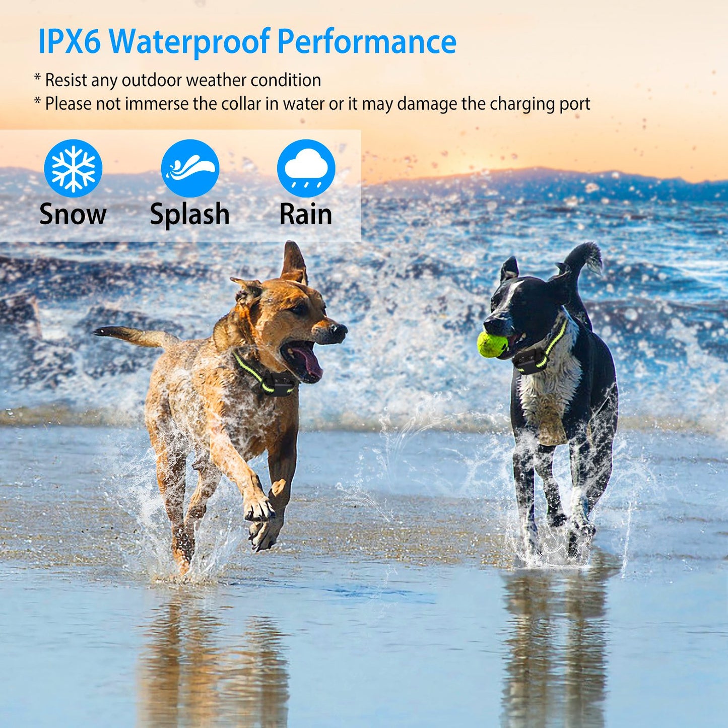 Rechargeable Dog Bark Collar with Smart Detection & 6 Levels