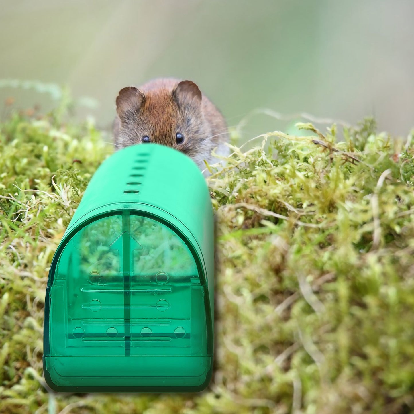 Humane Mouse Trap Live Catch & Release - 2 Pack