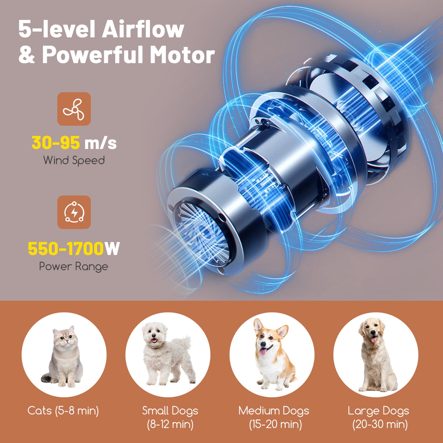 Pet Hair Dryer with Negative Ion Technology & Adjustable Temp