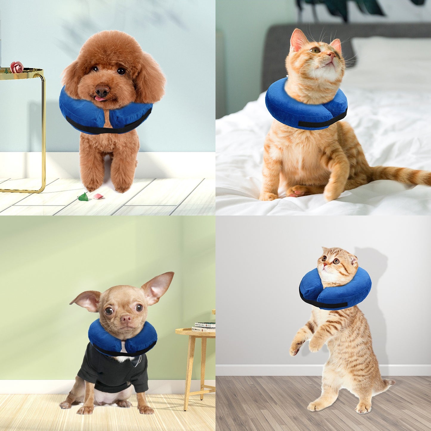 Inflatable Dog Recovery Collar – Soft, Adjustable E-Collar