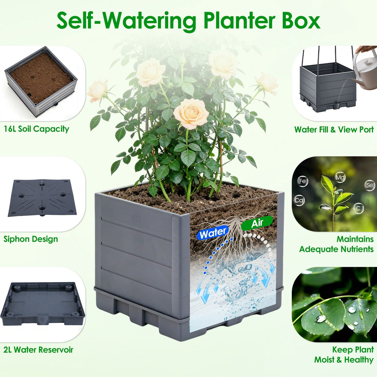 Raised Garden Bed with Trellis - Self-Watering Planter Box