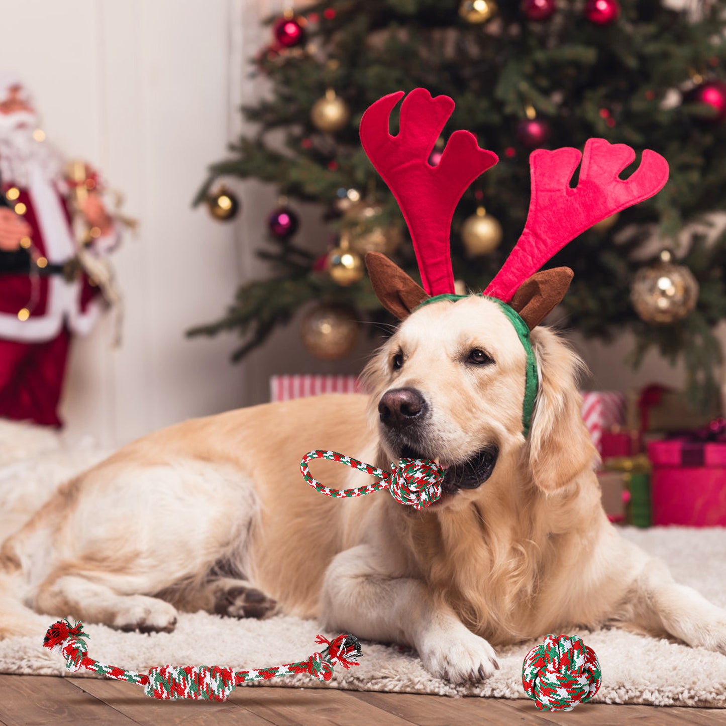 Dog Rope Chew Toys Set - 5 Piece Christmas Interactive Play