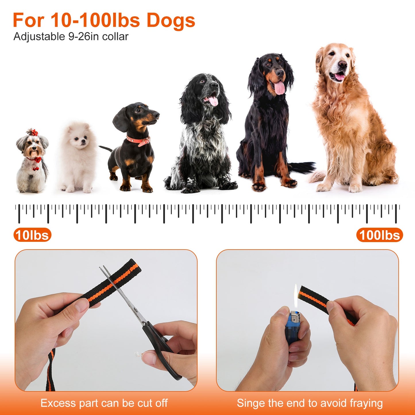 Dog Training Collar with Remote – Waterproof Rechargeable