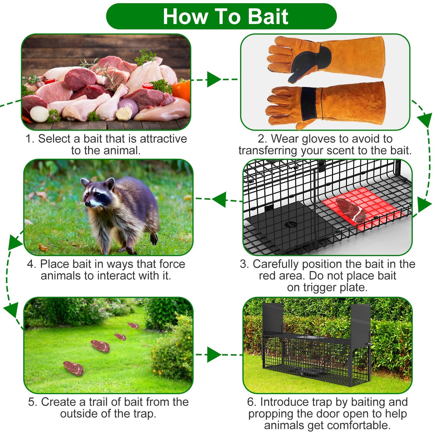 40in Humane Live Animal Trap Cage for Raccoons & Opossums