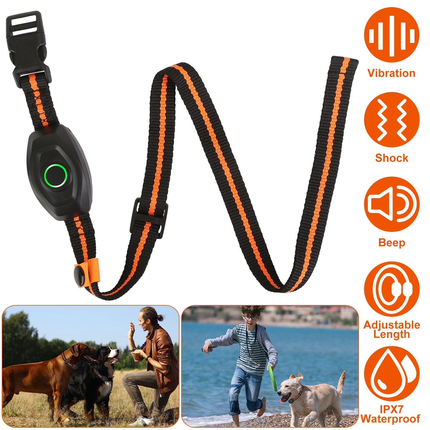 Dog Training Collar with Remote – Waterproof Rechargeable