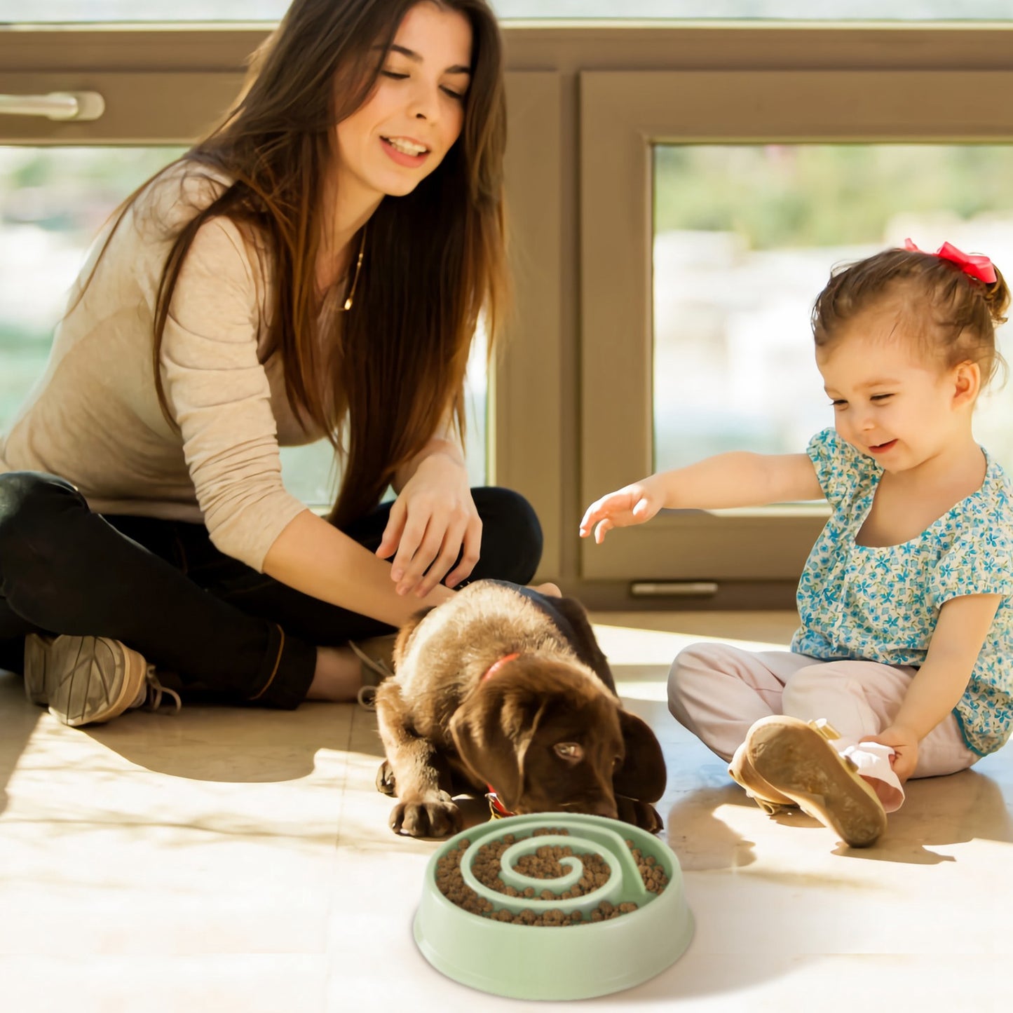 Slow Feeder Dog Bowl with Maze Design for Small & Medium Dogs