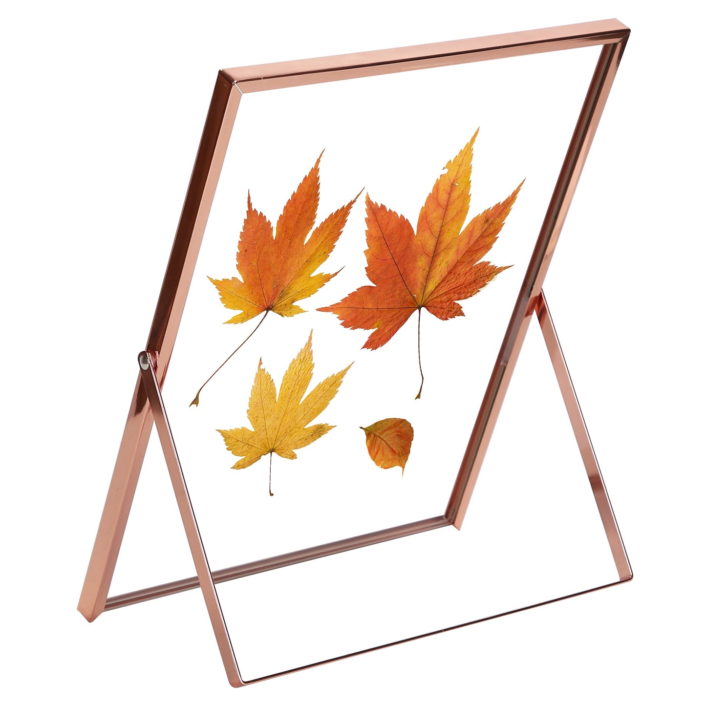 Rose Gold Metal Picture Frame Set 5x7 & 8x10 Vertical