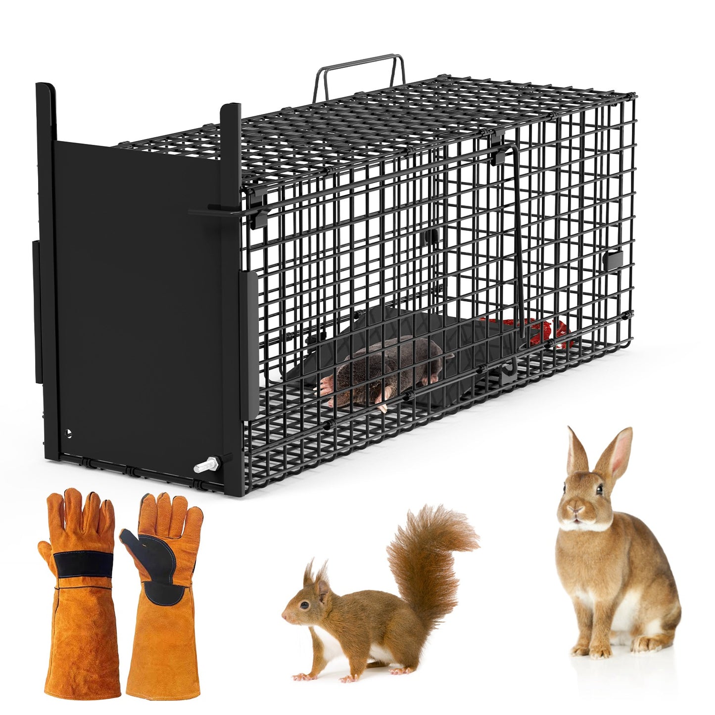 40in Humane Live Animal Trap Cage for Raccoons & Opossums