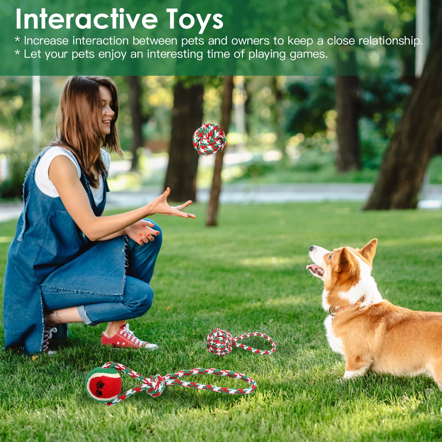 Dog Rope Chew Toys Set - 5 Piece Christmas Interactive Play