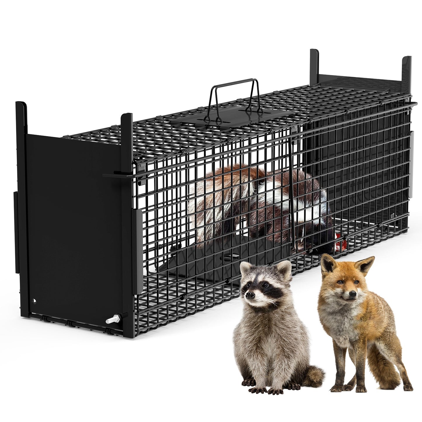 40in Humane Live Animal Trap Cage for Raccoons & Opossums