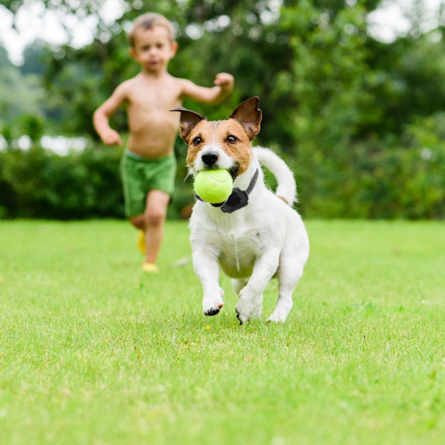 Wireless Electric Dog Fence System with Training Collar