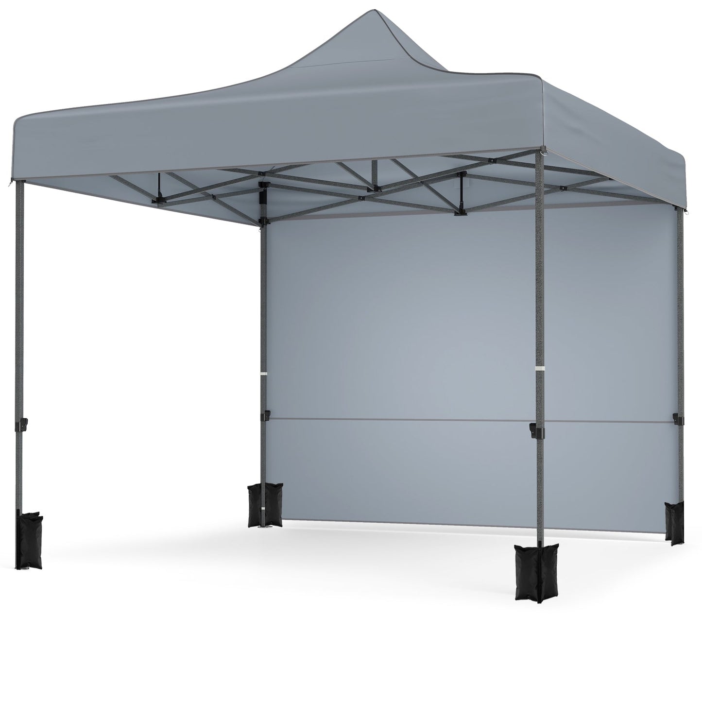 10 x 10 FT Pop up Canopy Tent with 4 Removable Sidewalls and Wheeled Bag