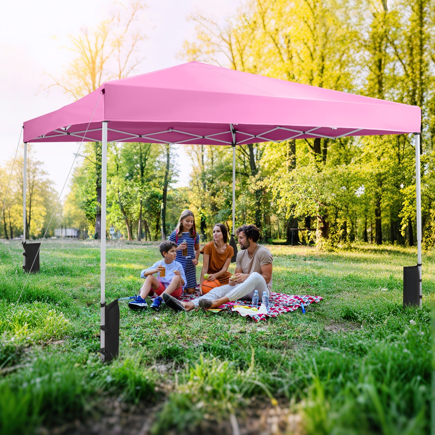 10 x 10 Feet Pop up Canopy Tent with Carrying Bag and 4 Sandbags