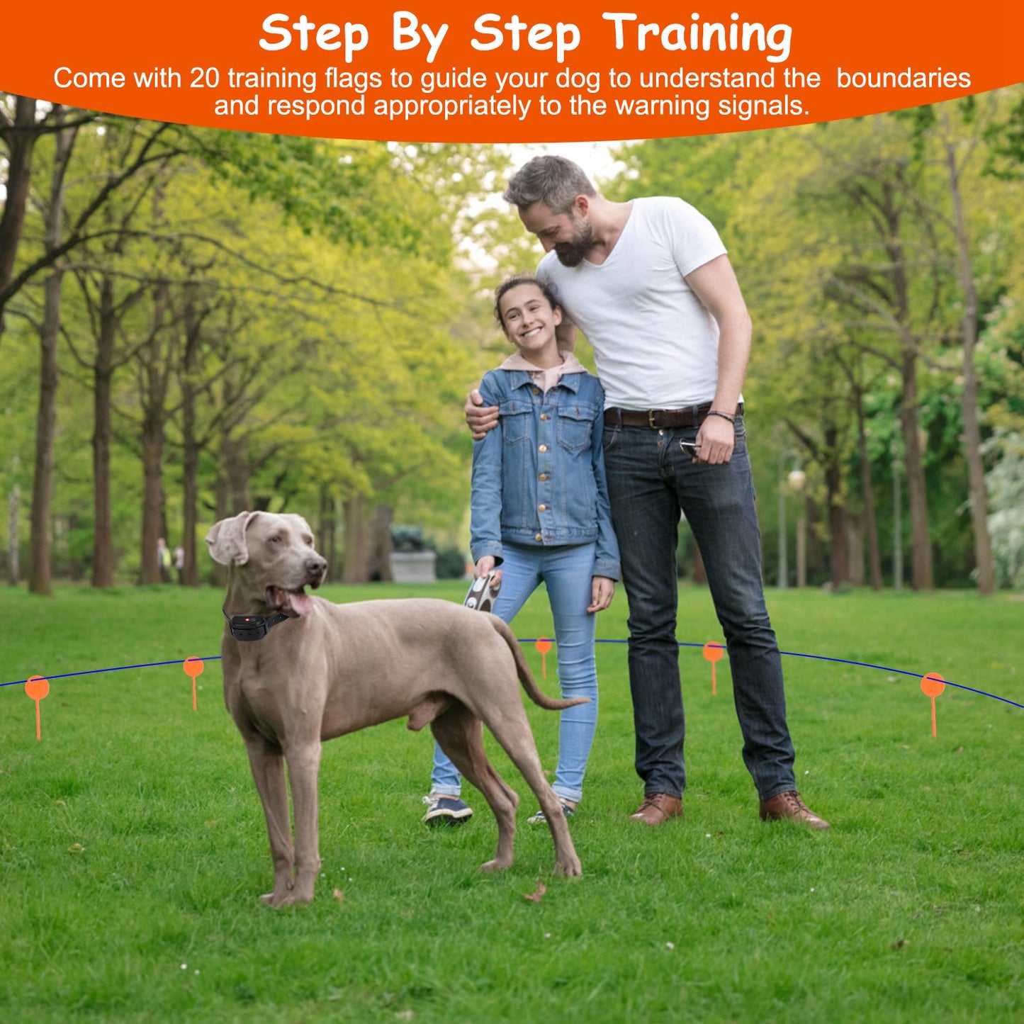 Underground Dog Fence System with Rechargeable Receiver