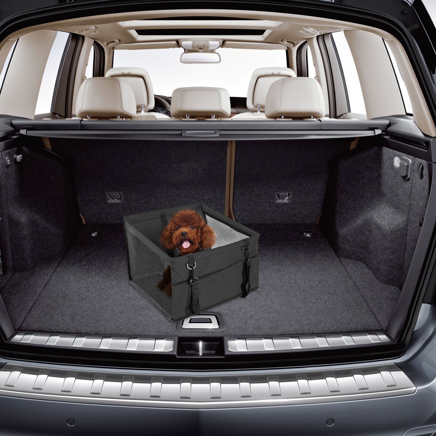 Dog Booster Car Seat for Small Pets Up to 20 Lbs