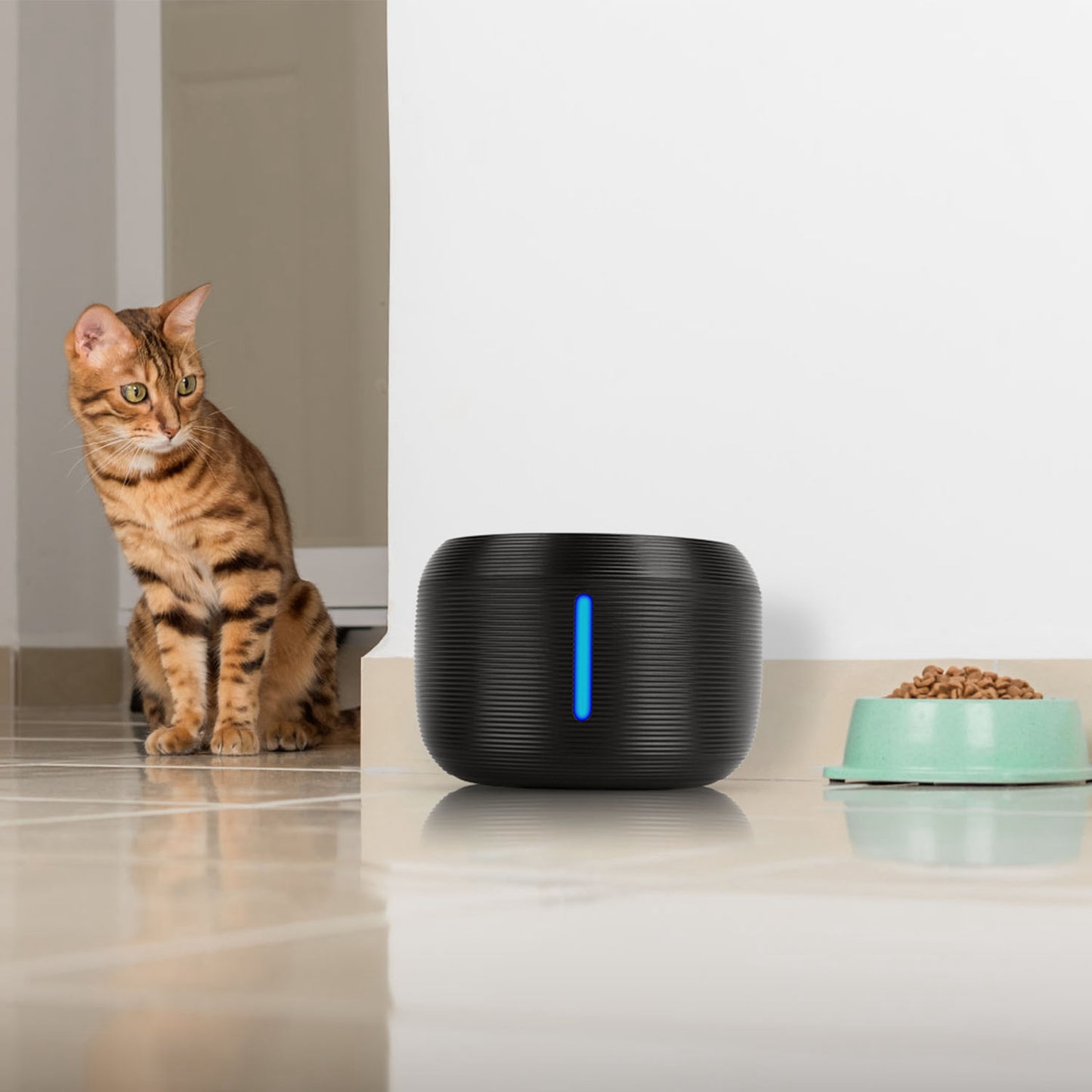 Pet Water Fountain with LED Light and Filters, 2.5L
