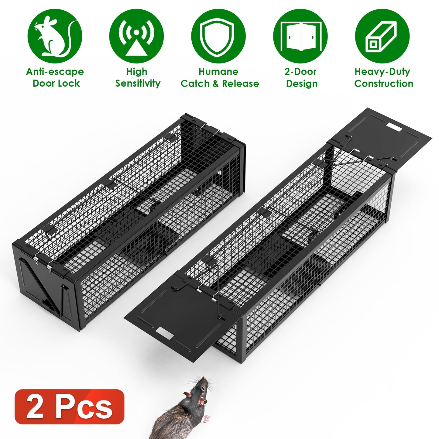 Humane Live Rat Trap 2-Pack - Dual Door Galvanized Cage