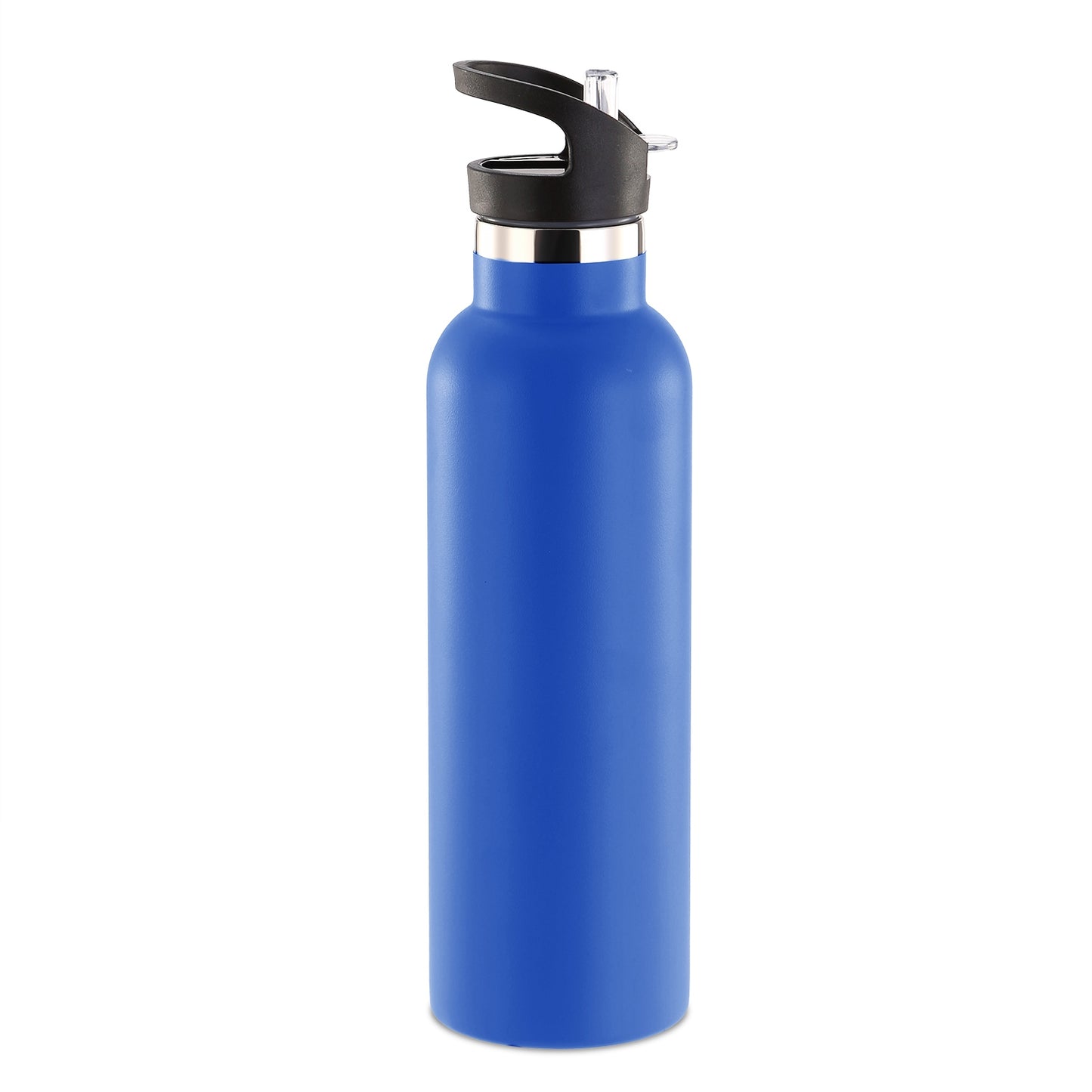 Insulated Stainless Steel Water Bottle with Dual Lids & Straws