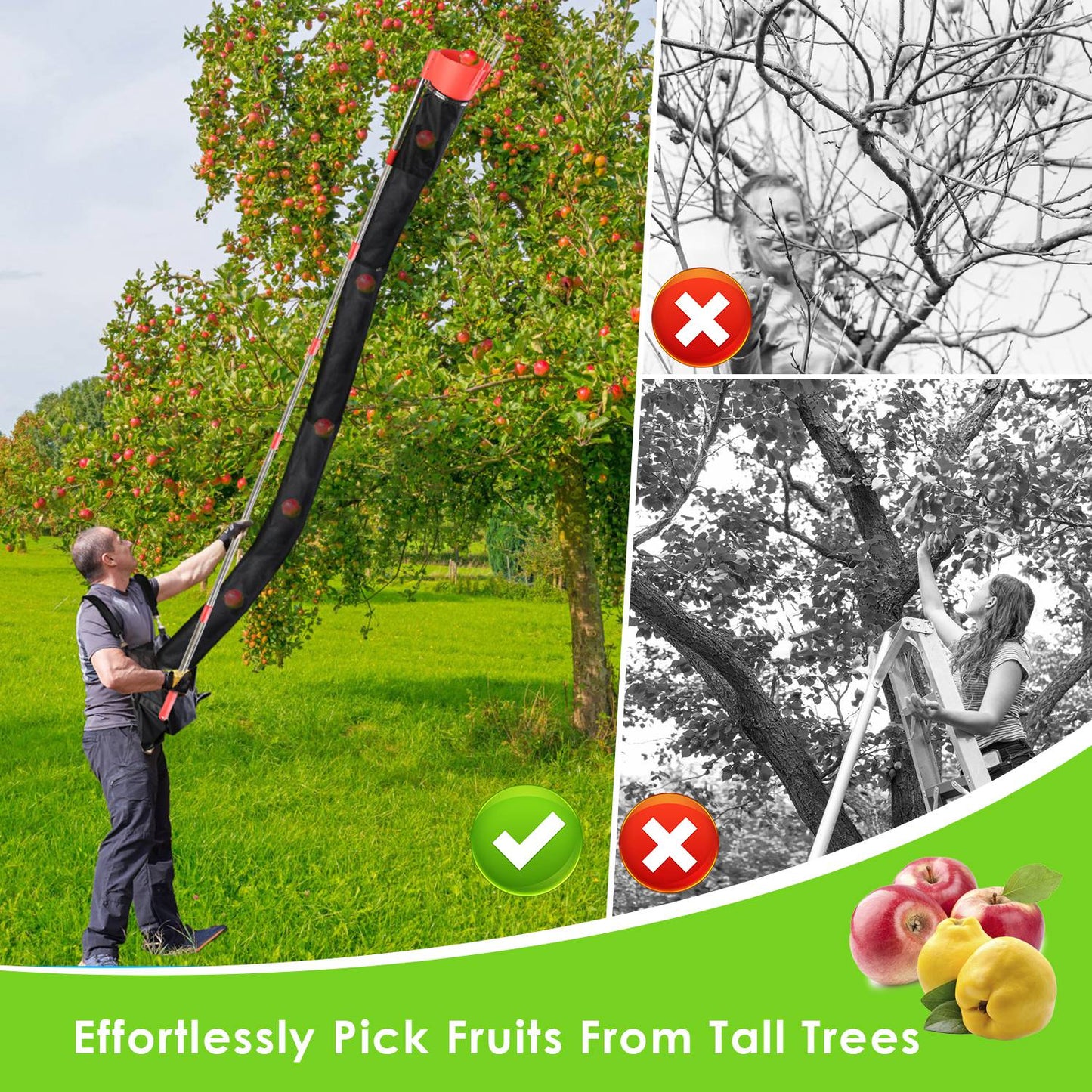 Fruit Picker Pole with Harvest Bag - 13.43ft Telescopic Reach