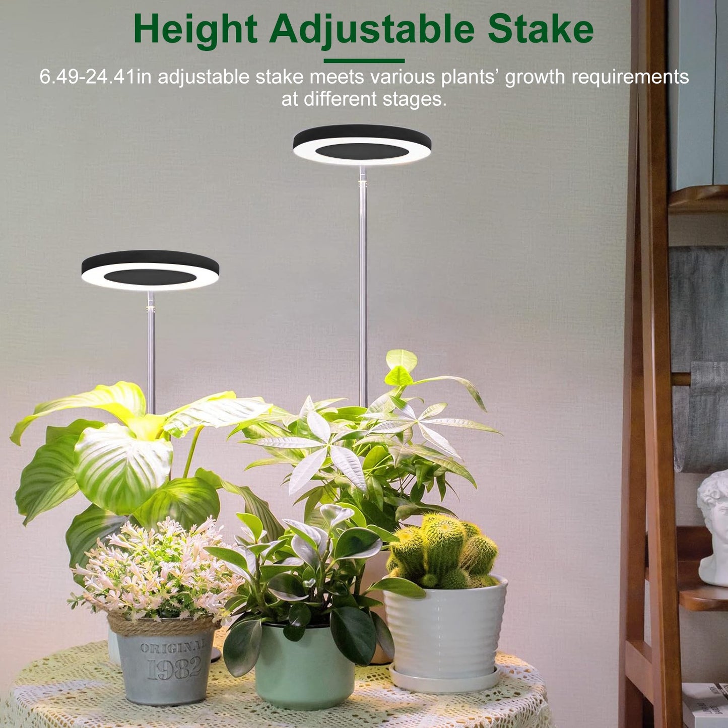 LED Plant Grow Light with Auto Timer & Adjustable Height