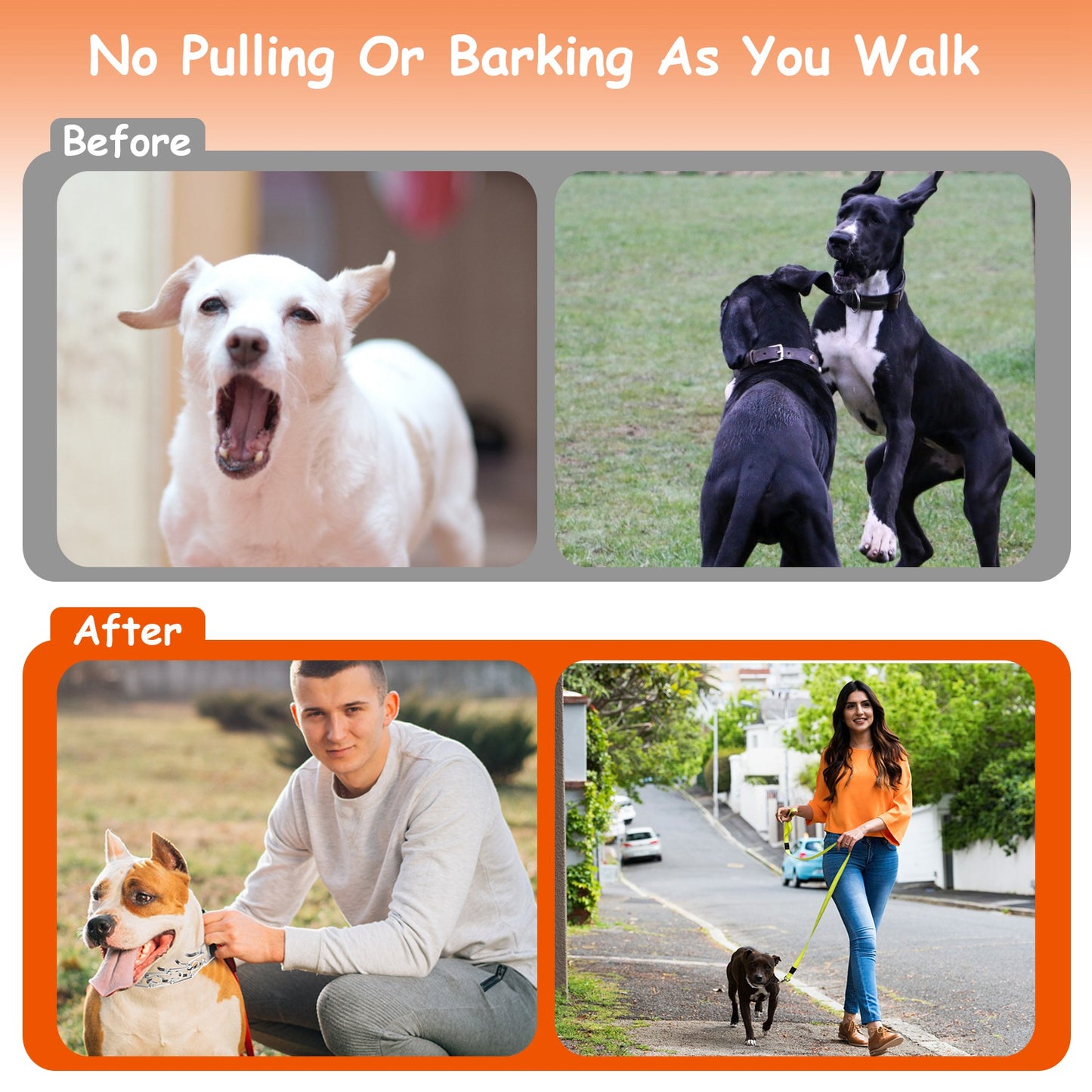 Dog Training Collar with Prong Chain and Quick-Release Buckle