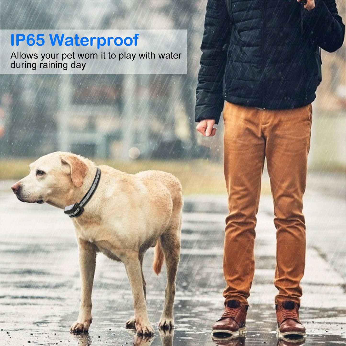 Dog Training Collar Receiver - Waterproof Rechargeable