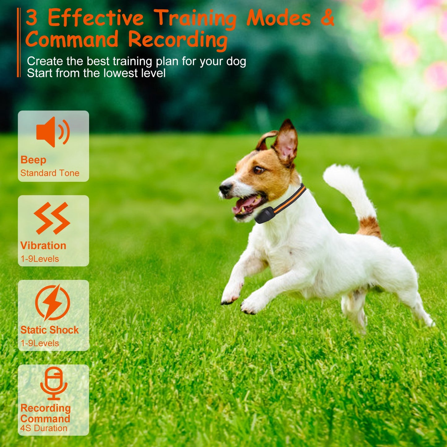 Dog Training Collar with Remote - 984ft Range & 3 Modes