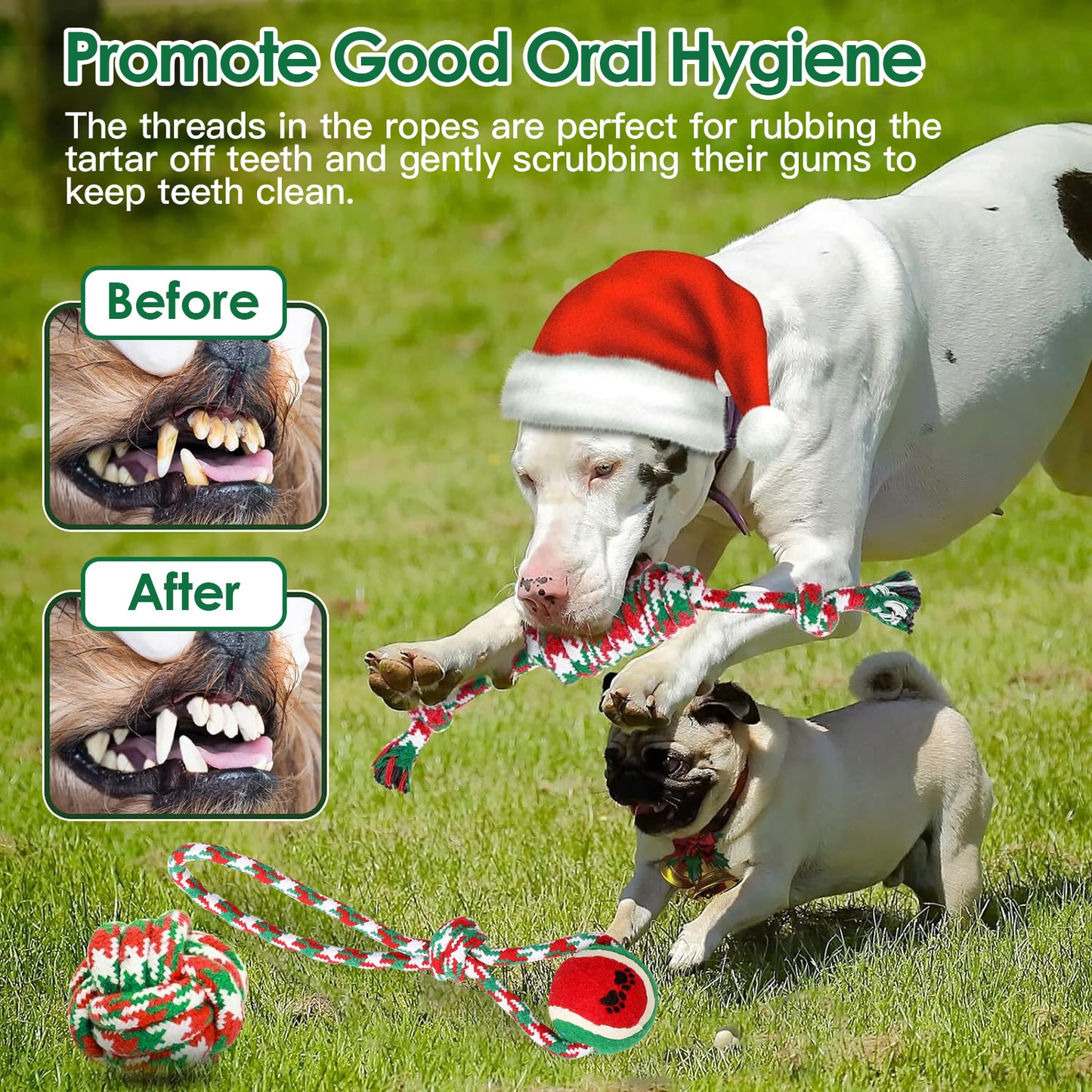 Dog Rope Chew Toys Set - 5 Piece Christmas Interactive Play