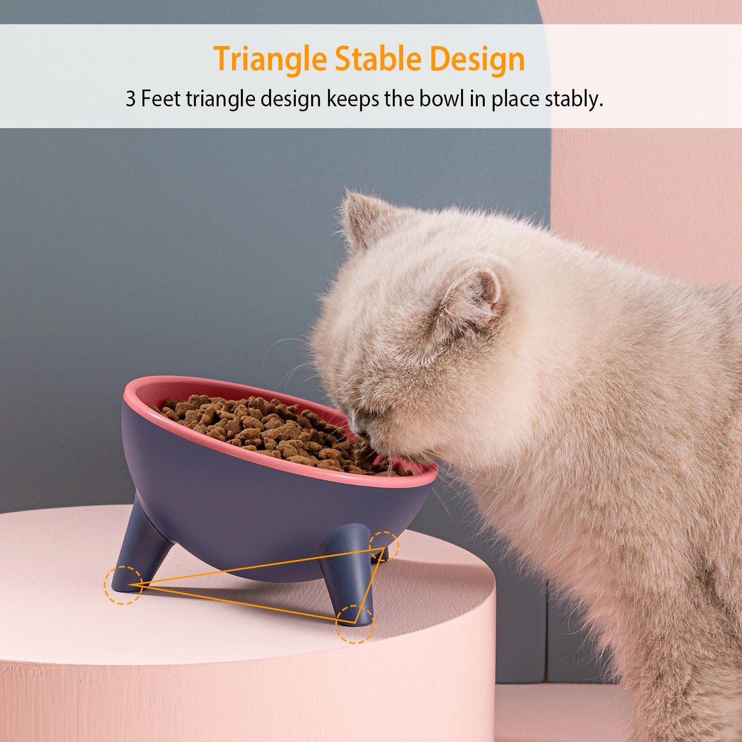 Elevated Tilted Cat Food Bowl with Backflow Prevention