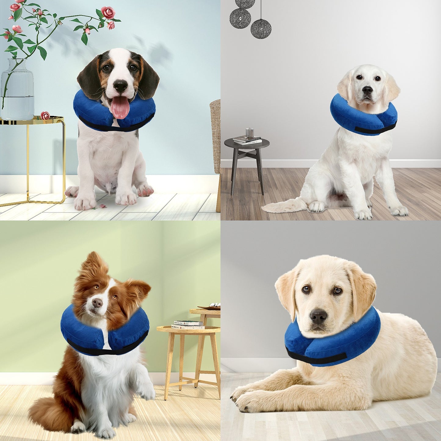 Inflatable Dog Recovery Collar – Soft, Adjustable E-Collar