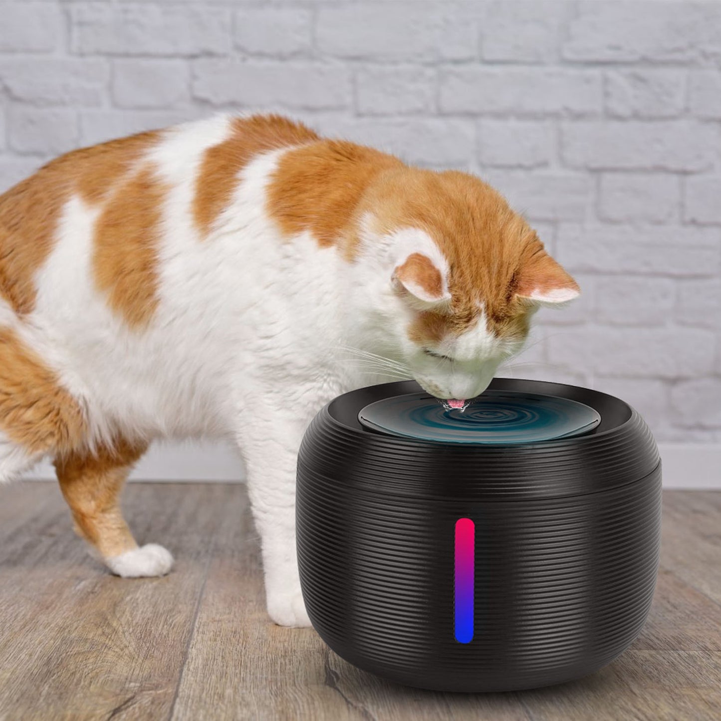 Pet Water Fountain with LED Light and Filters, 2.5L