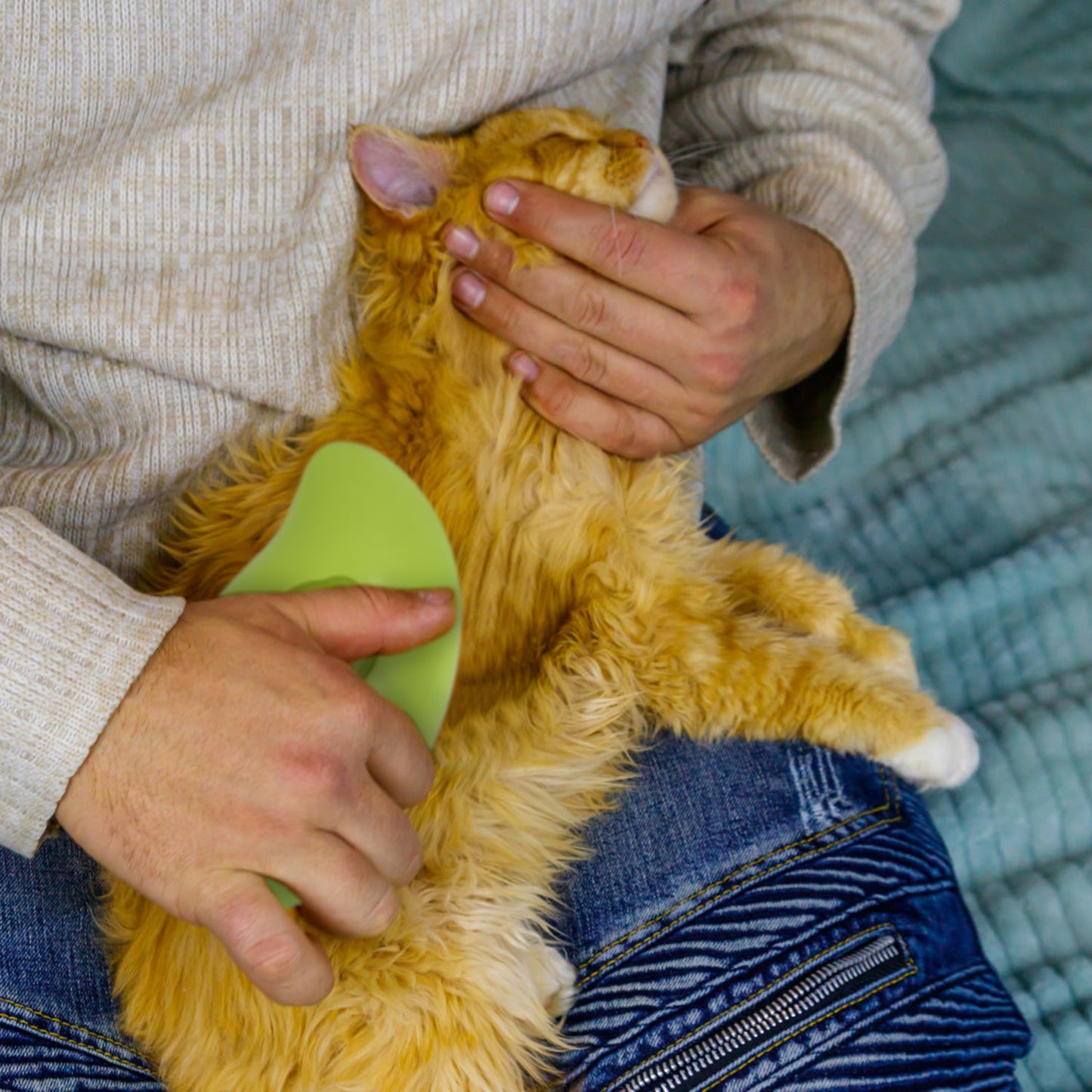 Cat Grooming Steam Brush with USB Rechargeable Battery
