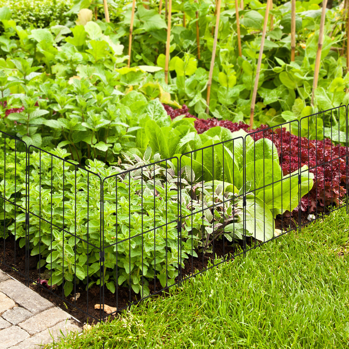 50 Pack Rustproof Decorative Garden Fence Set