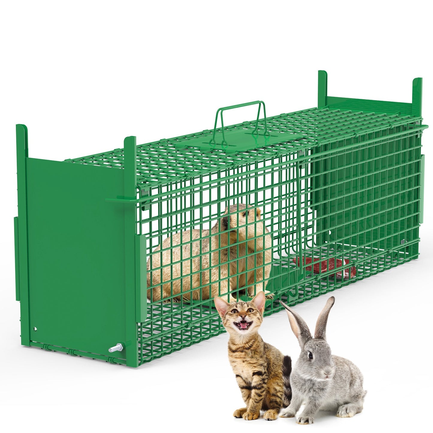 40in Humane Live Animal Trap Cage for Raccoons & Opossums
