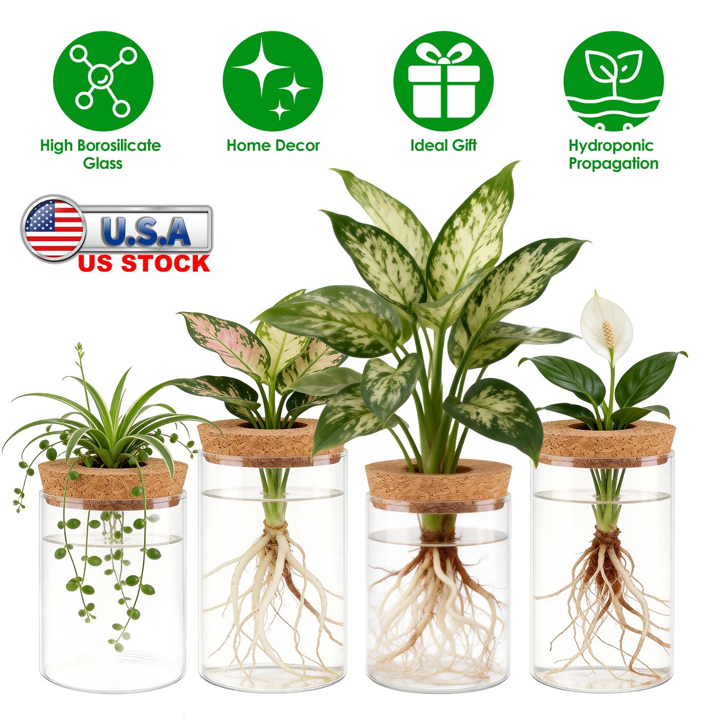Glass Propagation Stations 4-Pack with Wood Cork Lids