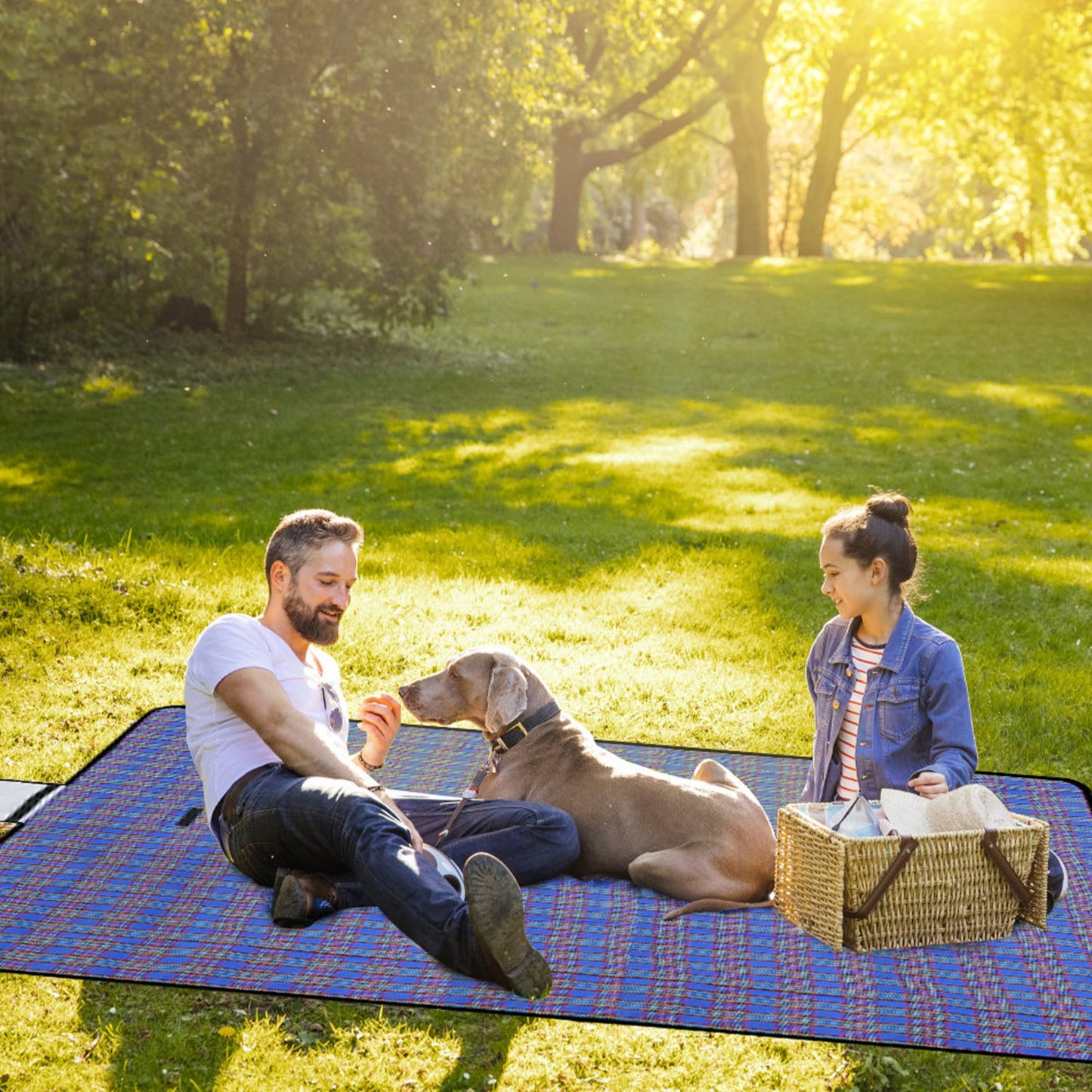 Waterproof Picnic Blanket 60x78 with Carrying Strap