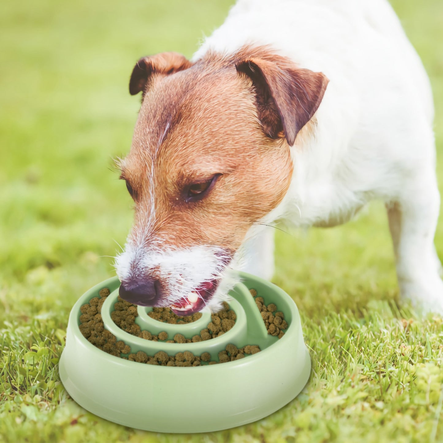Slow Feeder Dog Bowl with Maze Design for Small & Medium Dogs