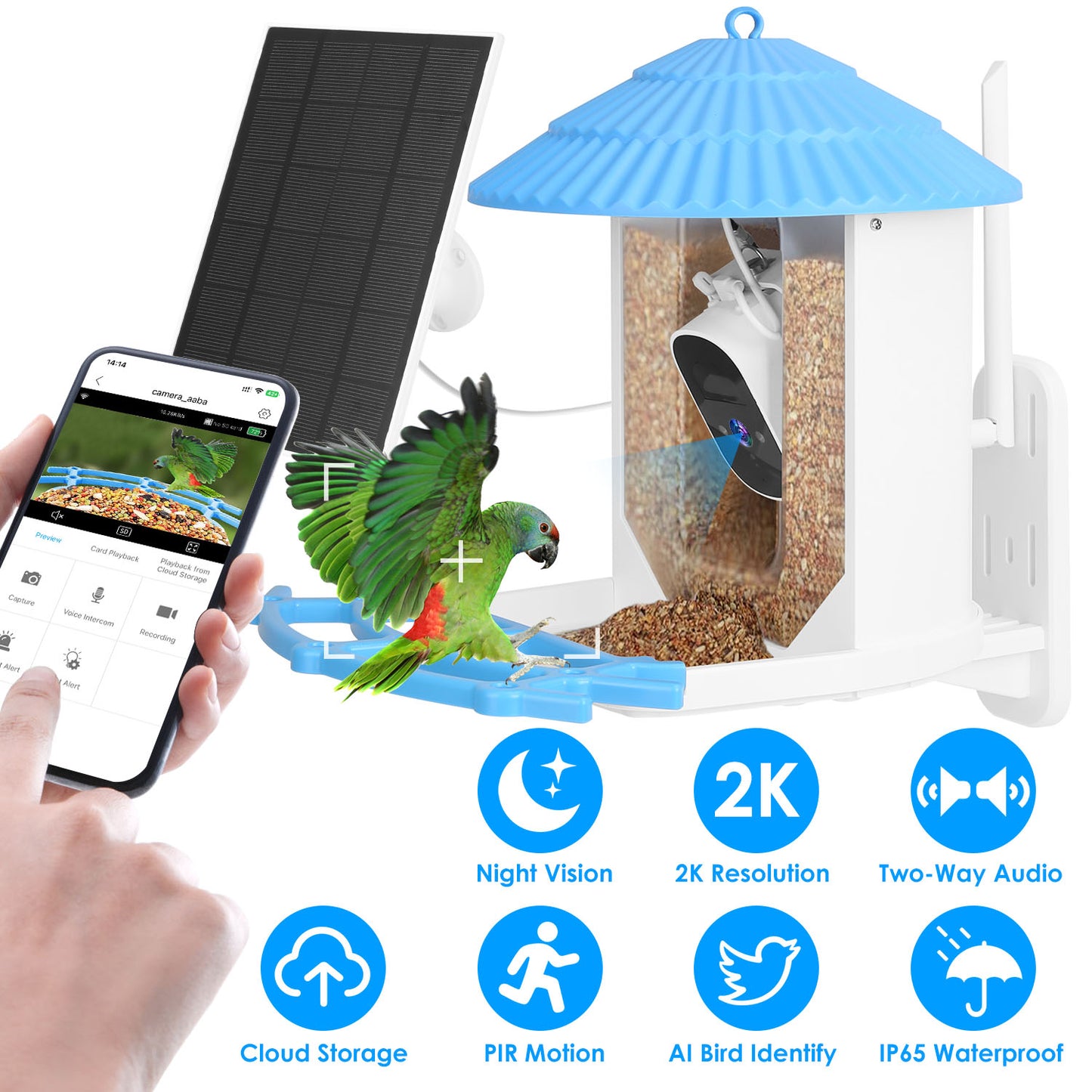 Solar Powered Smart Bird Feeder with 2K Camera & AI Identification