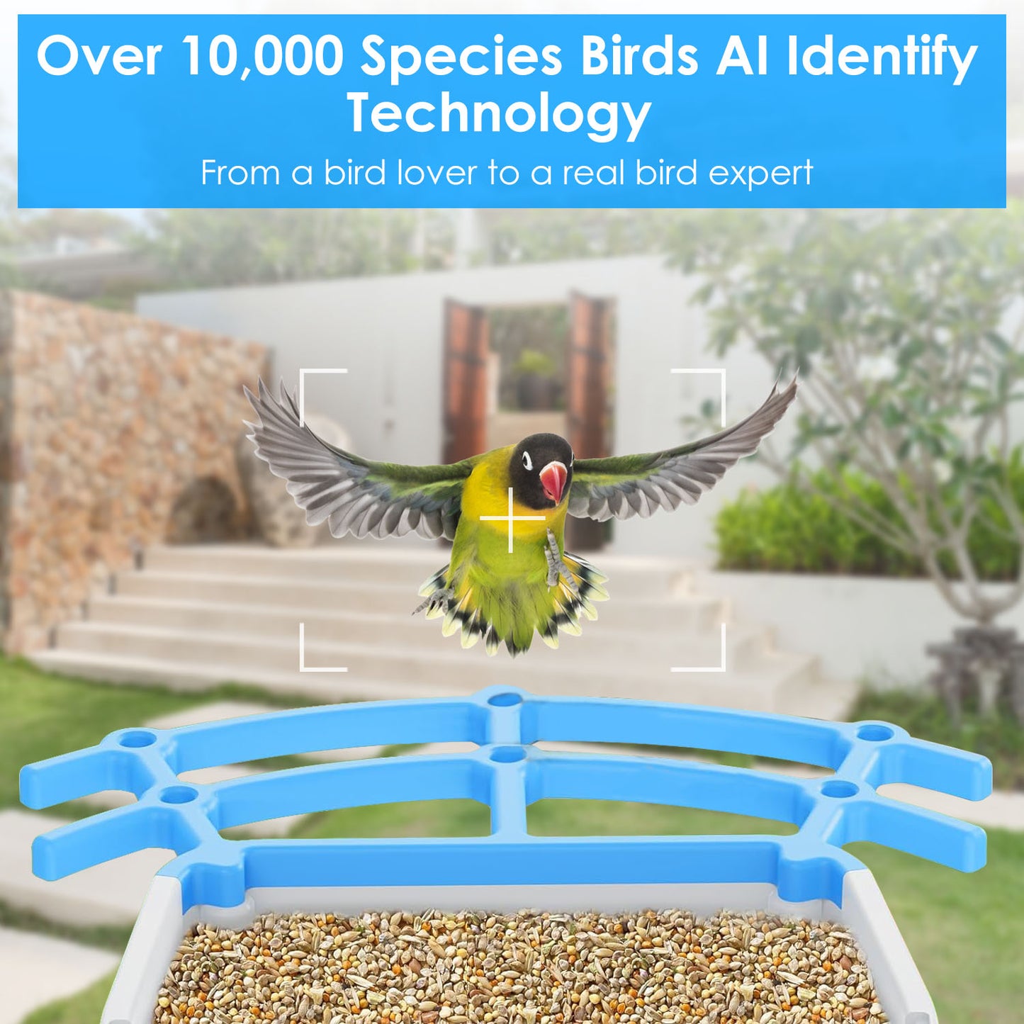 Solar Powered Smart Bird Feeder with 2K Camera & AI Identification