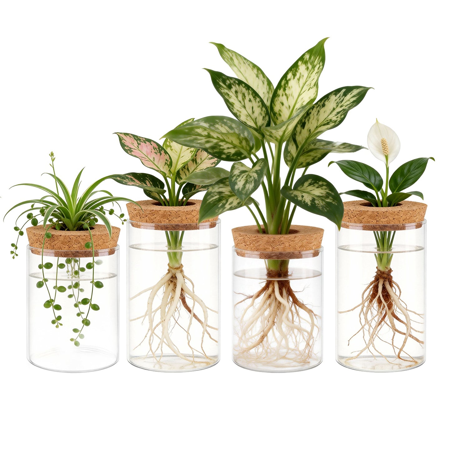 Glass Propagation Stations 4-Pack with Wood Cork Lids