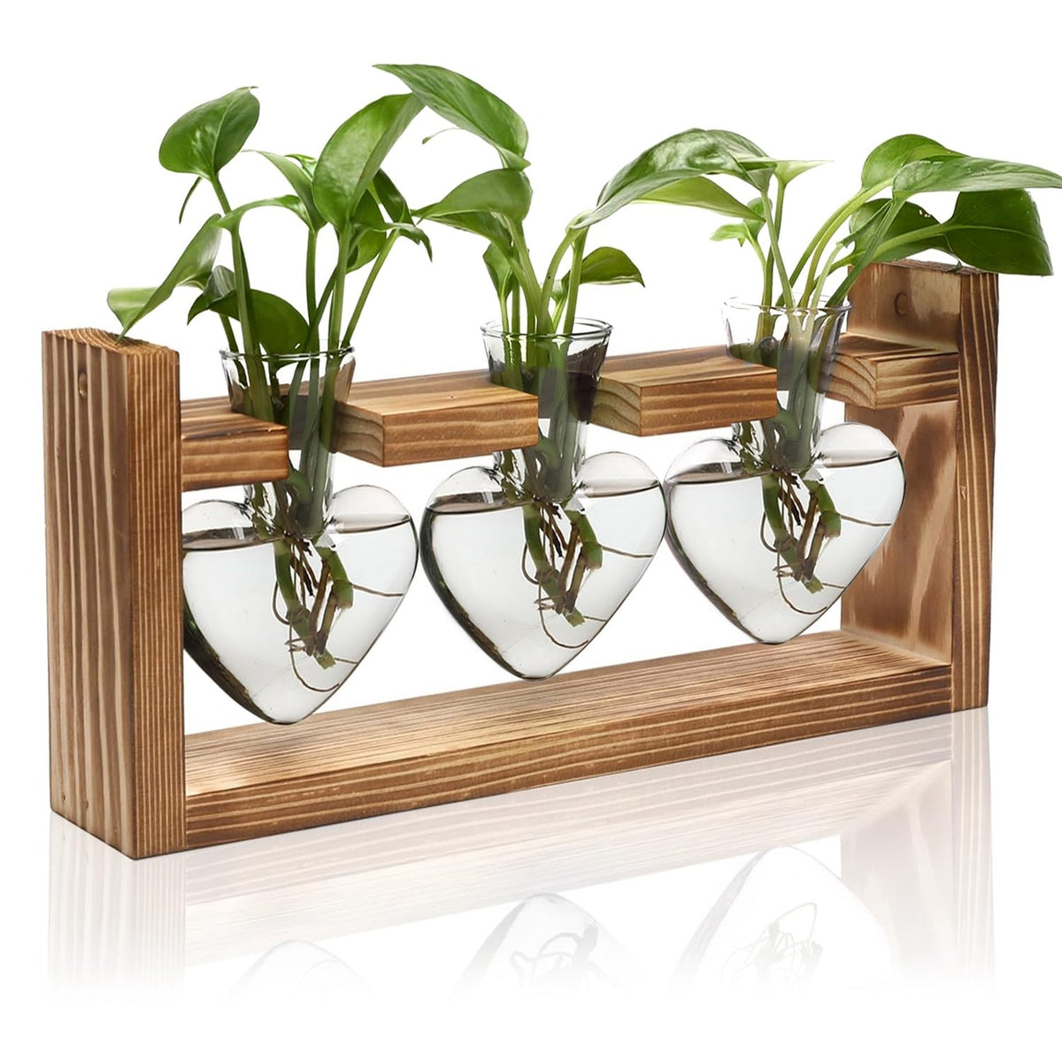 Plant Terrarium Propagation Station with 3 Heart Shaped Vases Wooden Stand Desktop Air Planter Bulb Glass Vase for Hydroponics Home Office Decor Gift