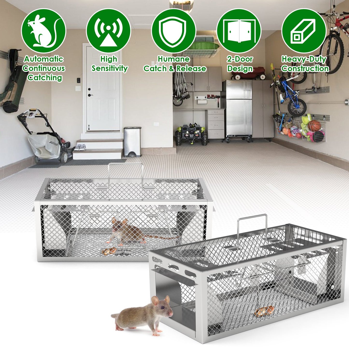 2-Pack Humane Rat Trap with Dual-Door Continuous Catch