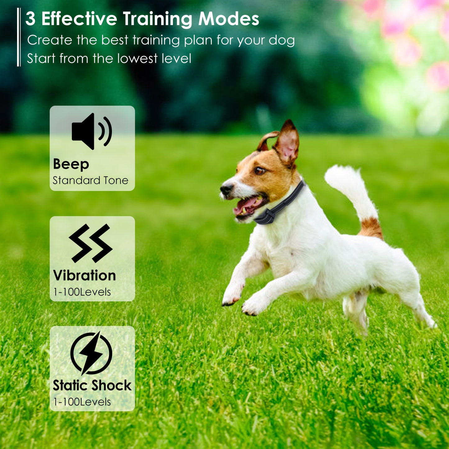 Dog Training Collar with Remote - IPX7 Waterproof, 1640ft Range