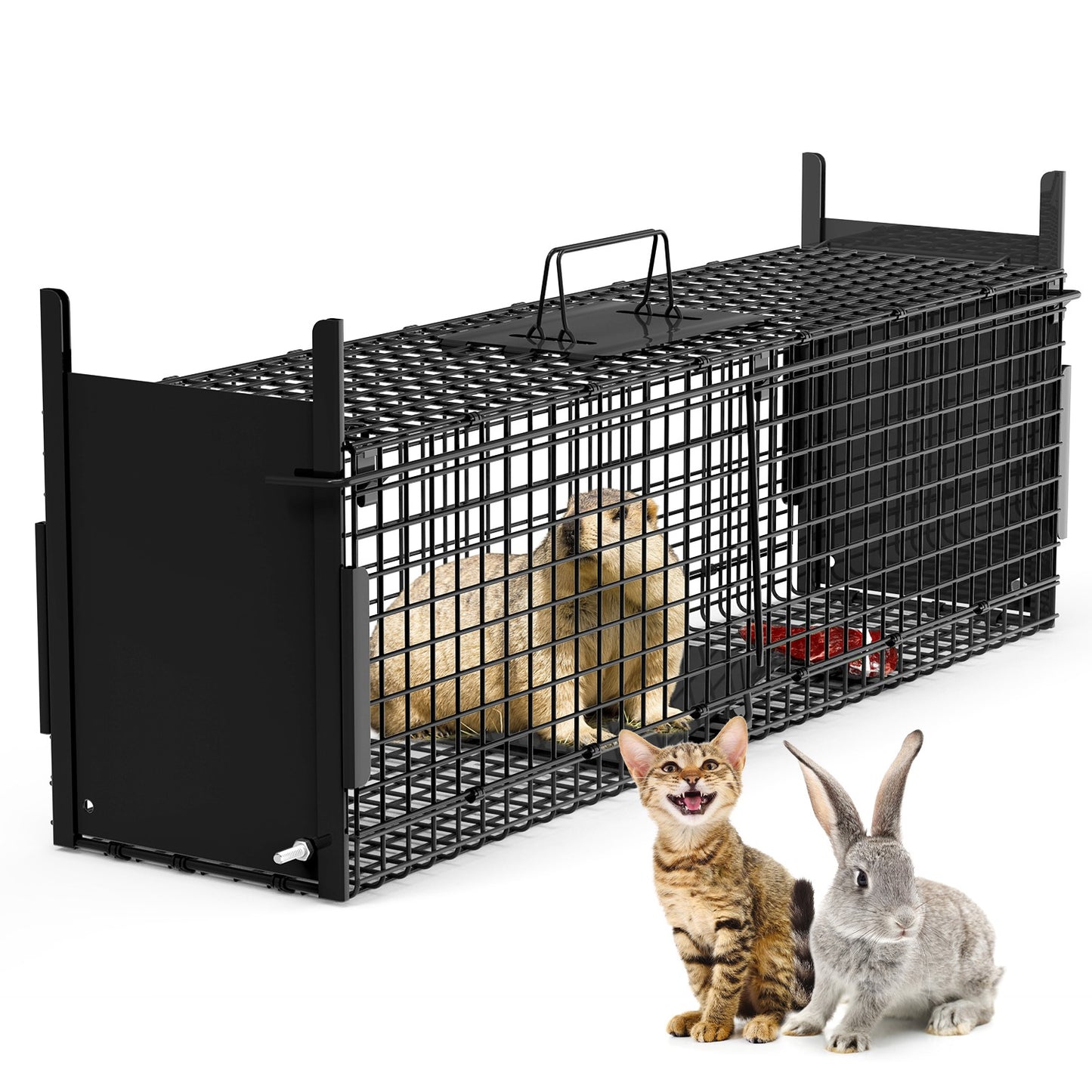 40in Humane Live Animal Trap Cage for Raccoons & Opossums