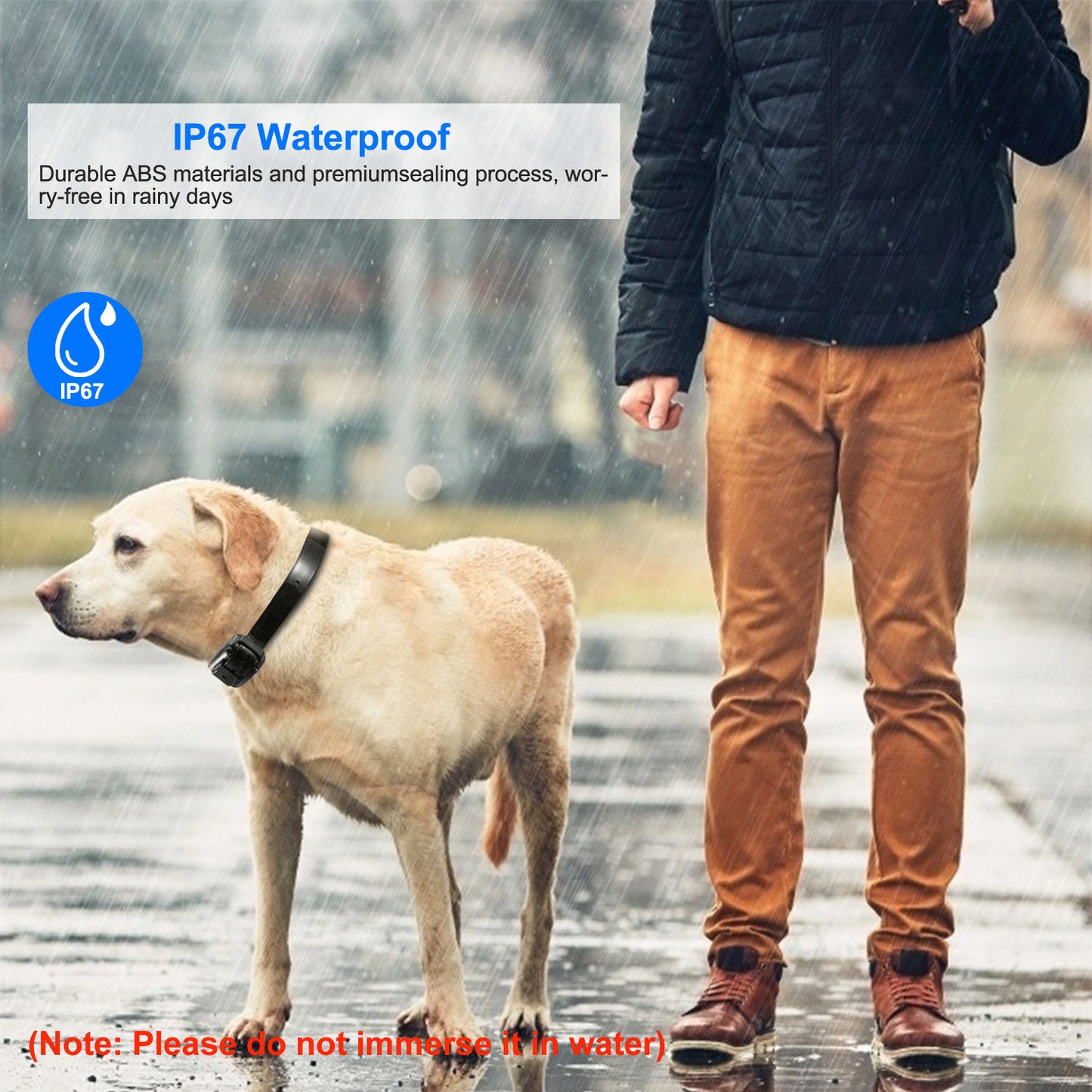 Dog Training Collar Receiver with Adjustable Belt IP67 Waterproof
