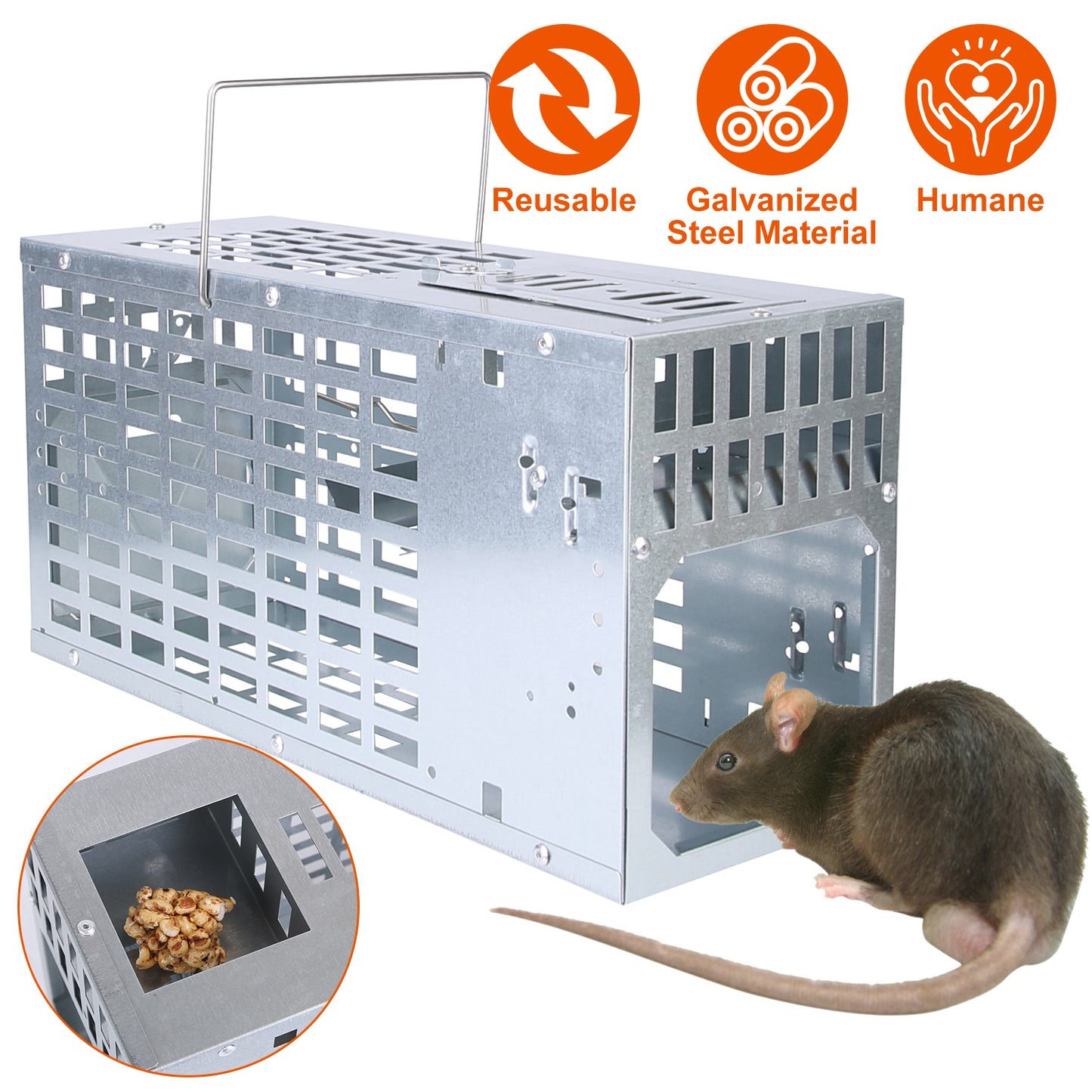 Humane Live Mouse Trap - Reusable Metal Cage with Dual Doors