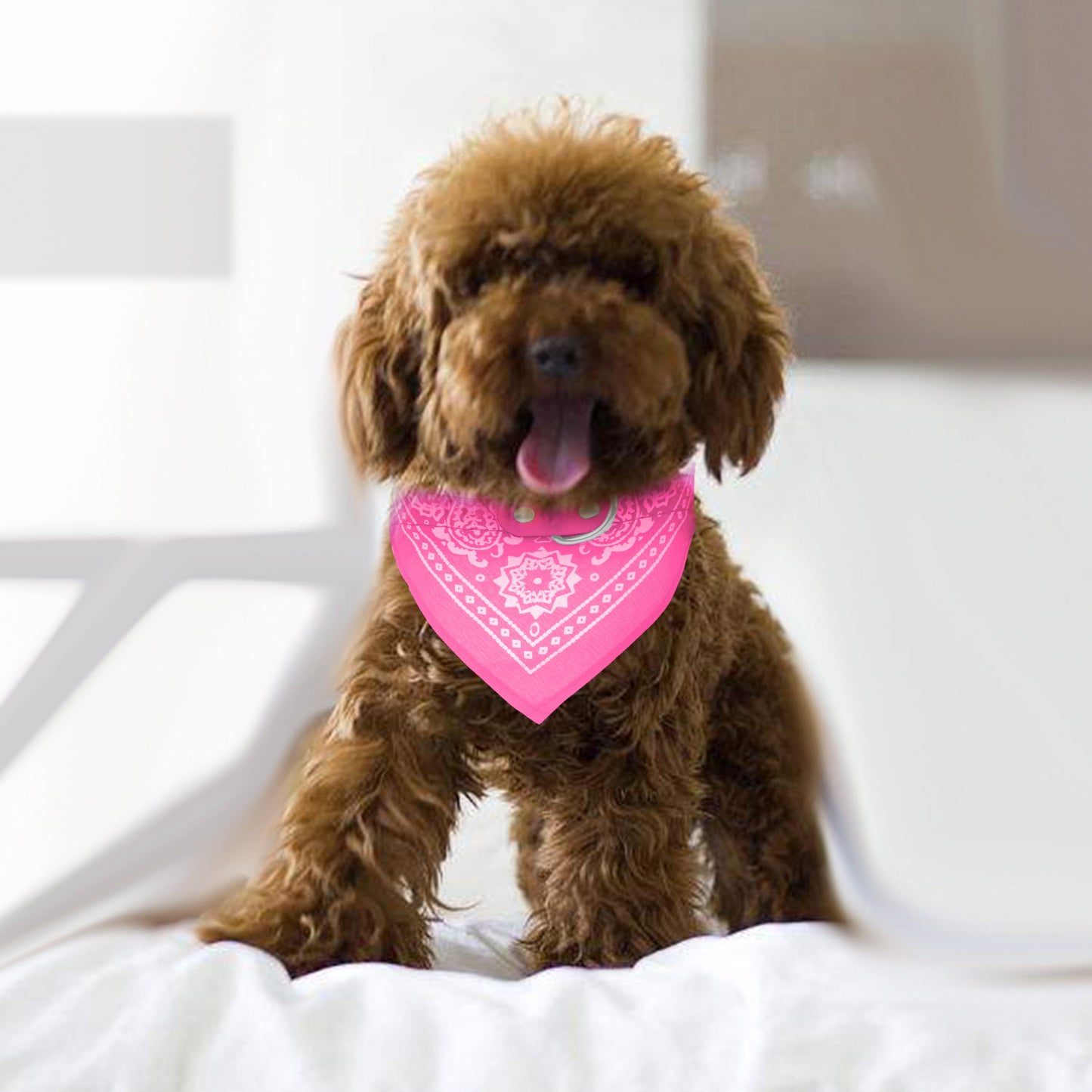 Dog Bandana Collar with Adjustable Leather Strap