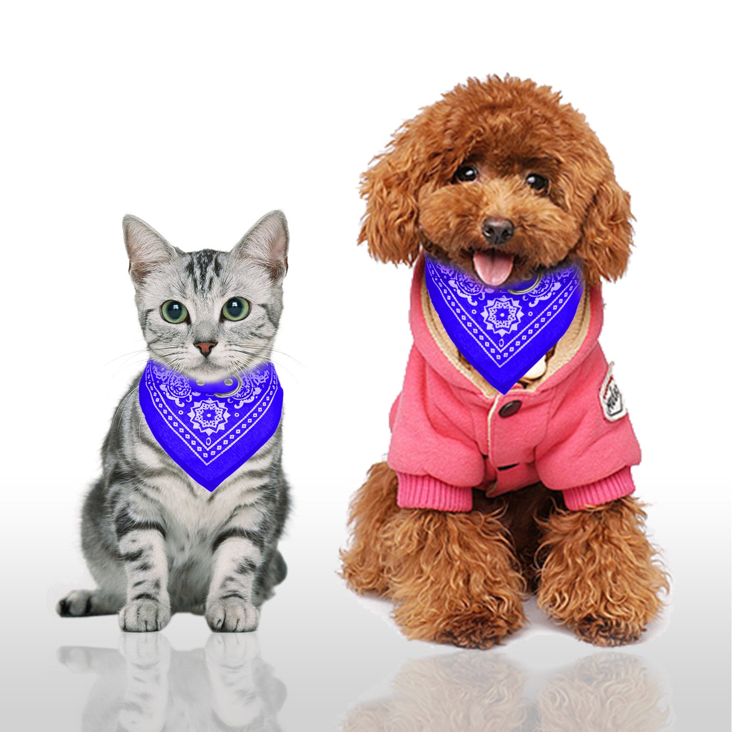 Dog Bandana Collar with Adjustable Leather Strap