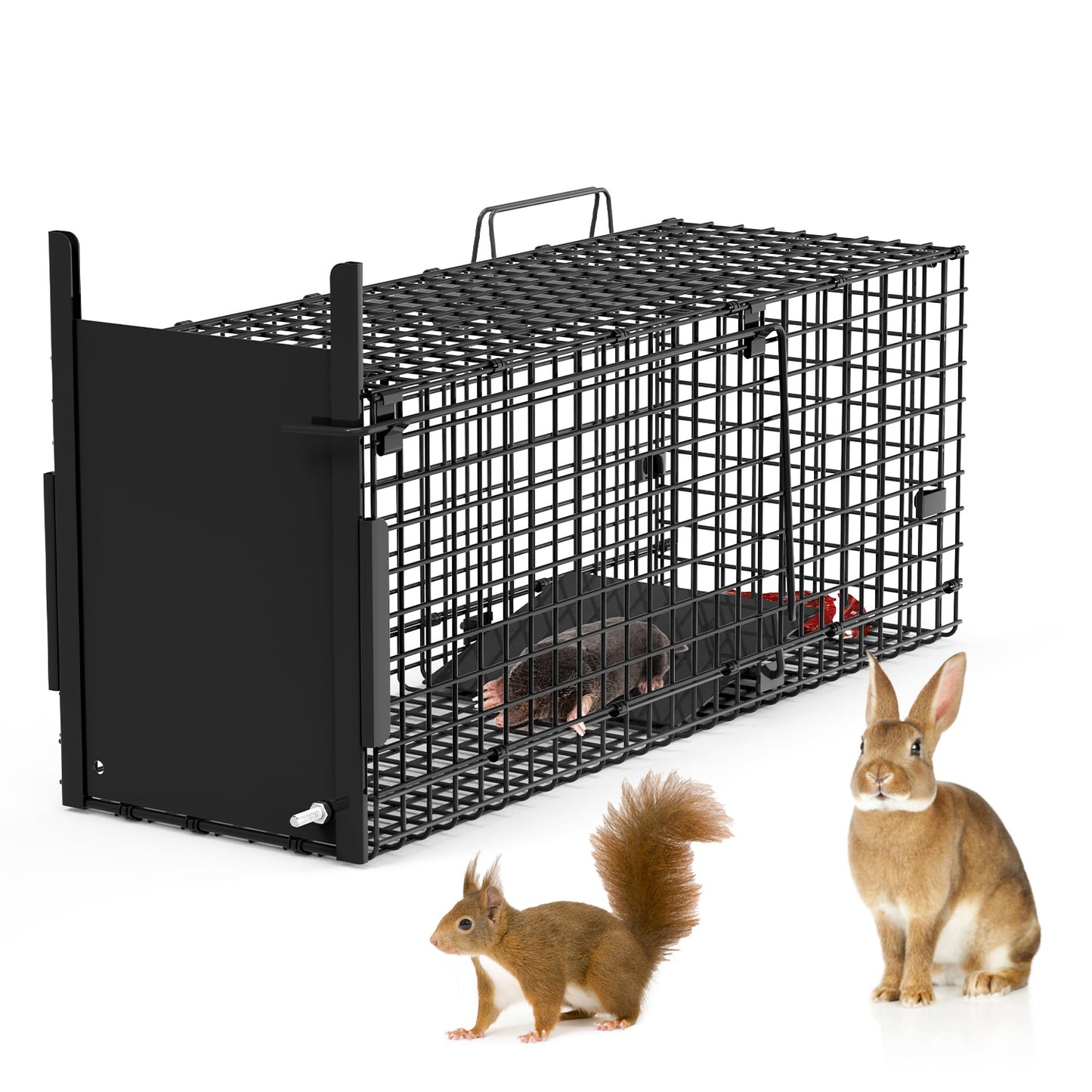40in Humane Live Animal Trap Cage for Raccoons & Opossums